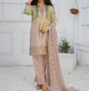 3 Piece Digital Print Embroidery Lawn Dress Fiza Noor Volume Baghi FN-05