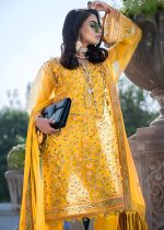 Gul Ahmed Party Wear 3-Piece Unstitched Dyed Net Embroidered Shirt With Embroidered Chiffon Dupatta - SP-17 - Askani Group