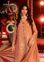 Asim Jofa Sale 3-Piece Unstitched Luxury Embroidered Chiffon Shirt with Embroidered Dupatta with 2 Side Border on Net AJLFF-16 - Askani Group