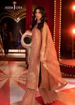 Asim Jofa Sale 3-Piece Unstitched Luxury Embroidered Chiffon Shirt with Embroidered Dupatta with 2 Side Border on Net AJLFF-16 - Askani Group